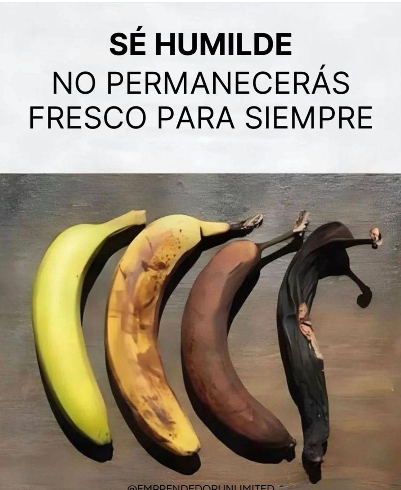 Caricatura