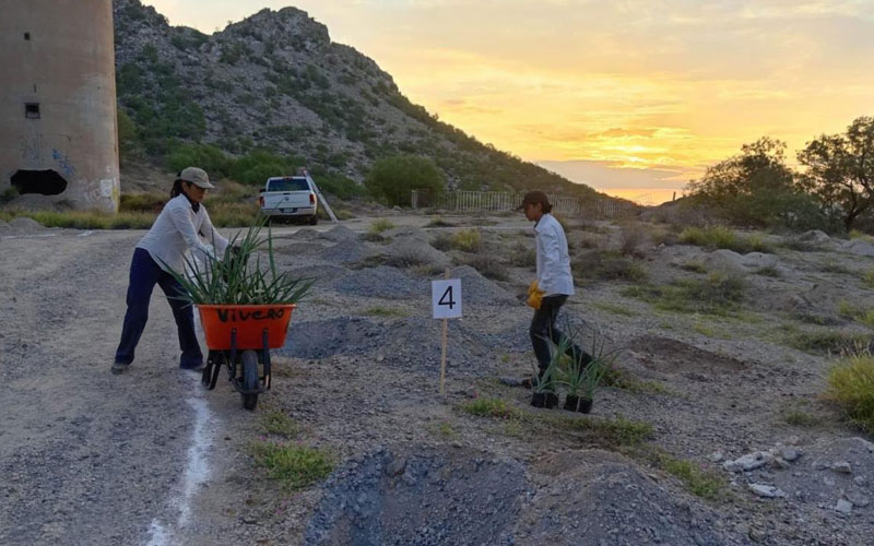 La Sauceda se suma a Jornada Nacional de Reforestación 2026 en Hermosillo