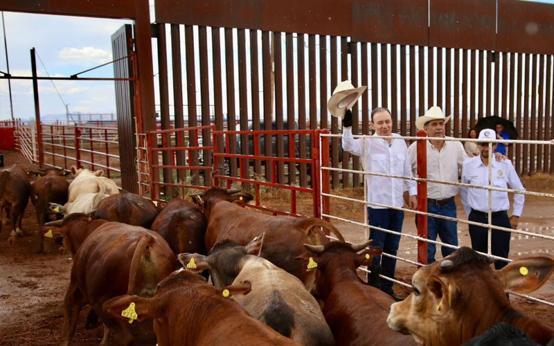 Con liderazgo sanitario, Sonora reactiva exportación ganadera hacia Estados Unidos