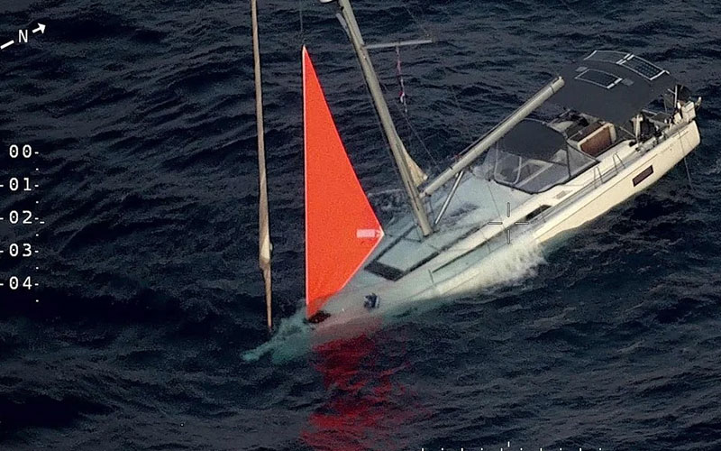 Cachalotes dañan un yate y obligan a tripulación a abandonarlo en el Pacífico Sur