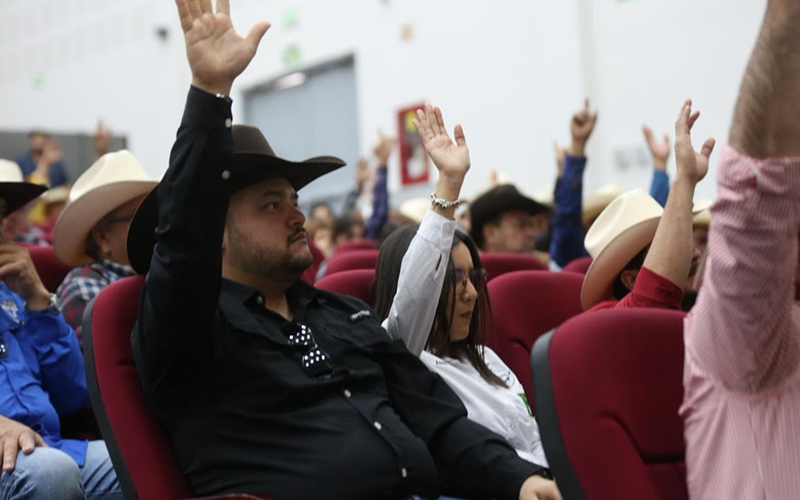 Gobierno de Sonora impulsa al sector ganadero pese a retos fronterizos