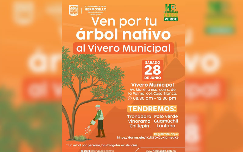 Se donarán árboles nativos el próximo sábado en el Vivero Municipal de Hermosillo