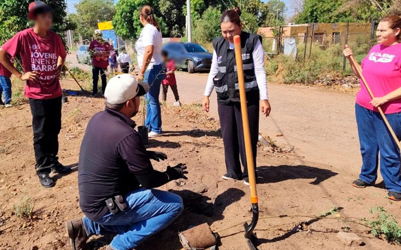Impulsan rescate de espacios públicos en Campo 5 con limpieza y reforestación