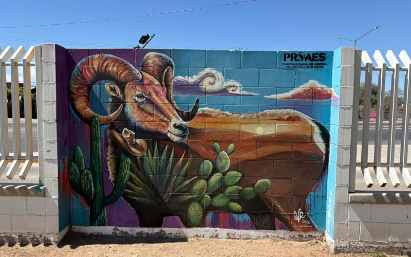 Cobach premia murales ambientales realizados por estudiantes sonorenses