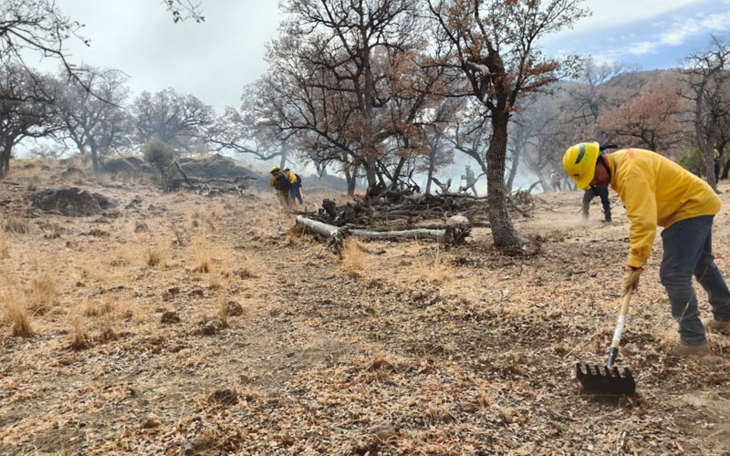 Controlan al 100 % incendios forestales en Sonora; llaman a reforzar prevención