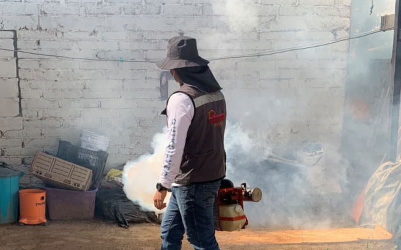 Sonora refuerza combate al dengue con fumigación en más de 10 mil viviendas