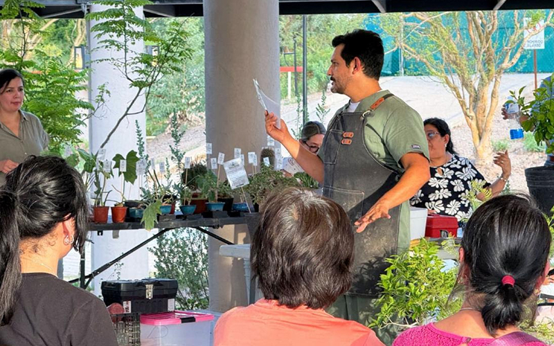 La Sauceda reúne educación ambiental, arte y música con actividades gratuitas