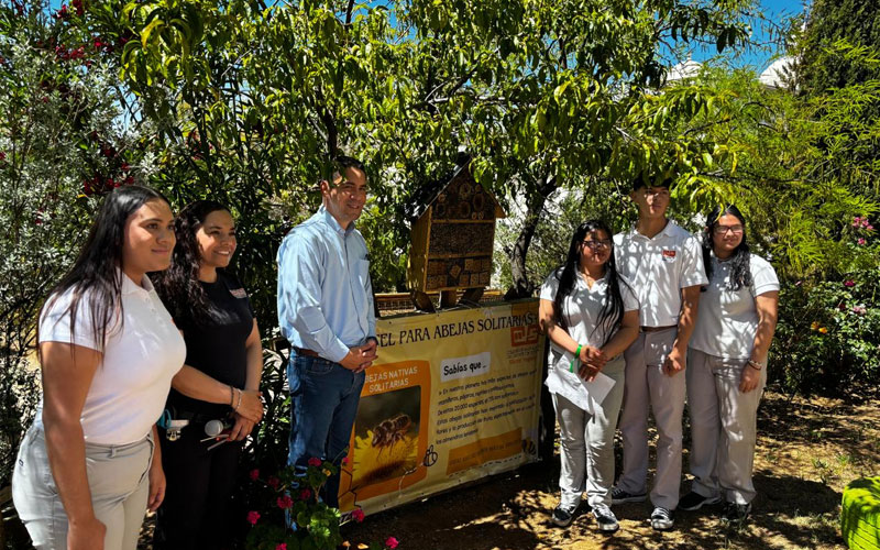 Instalan alumnos de Cobach Sonora “Hotel para abejas solitarias”