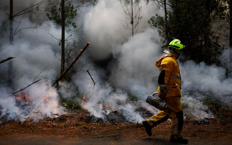 FAO urge a América Latina a prepararse ante un fuerte fenómeno de El Niño