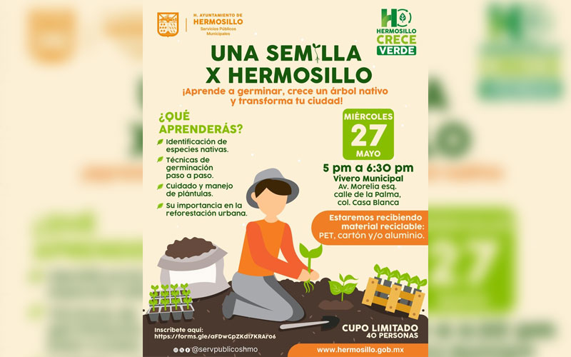 Invitan a taller para aprender a germinar y cuidar árboles nativos en Hermosillo