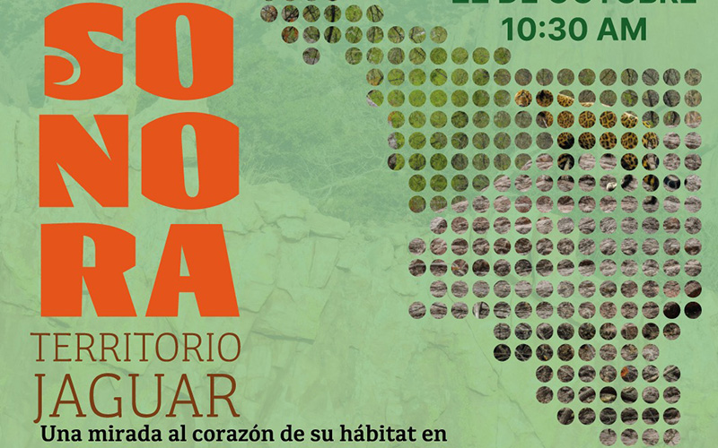 Unison exhibirá fotografías del territorio del jaguar en Sonora