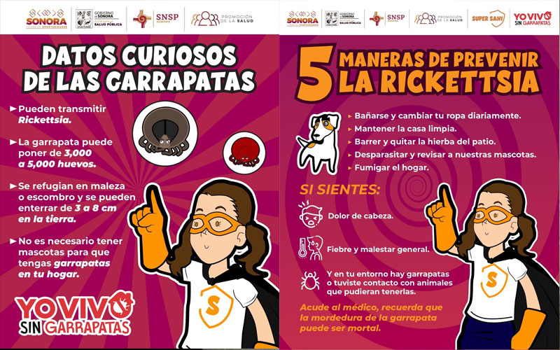 Refuerza Sonora acciones contra la rickettsiosis con jornadas preventivas