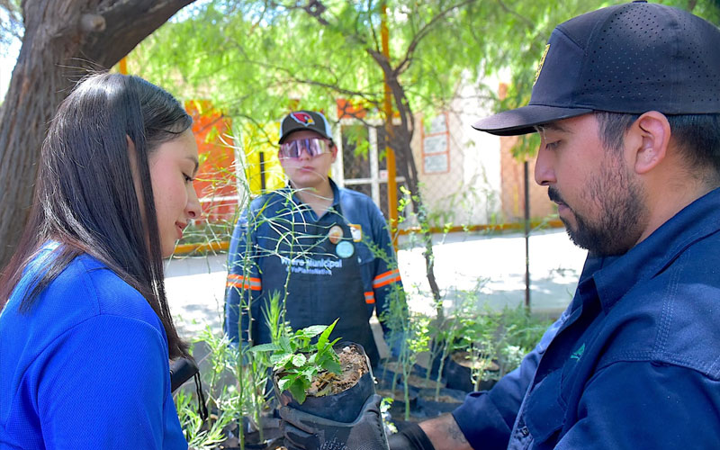 Invitan a jornada gratuita de entrega de árboles nativos en Hermosillo