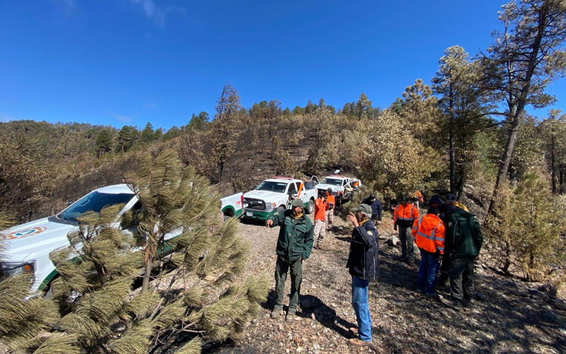 Avanzan labores contra incendios forestales en Sonora; reportan control del 80?% en Nácori Chico