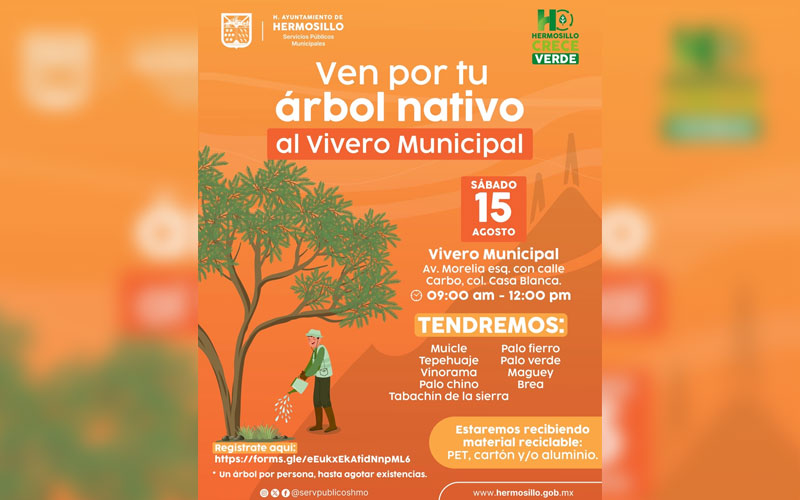 Hermosillo realizará jornada de donación de árboles nativos este sábado