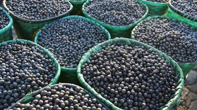 El poder oculto del açaí