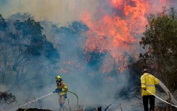 Alerta máxima por incendios devastadores en la región de Jerusalén