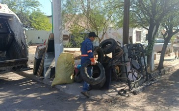 Retiran 113 toneladas de cacharros en Hermosillo para prevenir criaderos de mosquitos