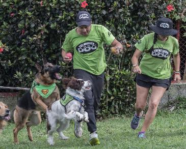 Salud Esencial: Hábitos Que Transforman Vidas