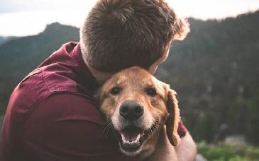 Los perros nos acompañan desde hace 16 mil años, revelan estudios