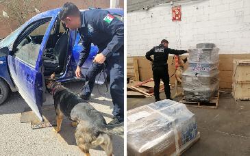Unidad canina K-9 de la Policía Estatal fortalece la intervención operativa para prevenir y combatir el delito