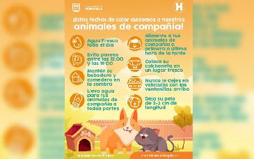 Recomienda IMPBA medidas para proteger a animales de compañía ante el calor