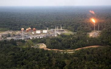 Informe global alerta: la crisis de biodiversidad amenaza la economía y las finanzas del mundo