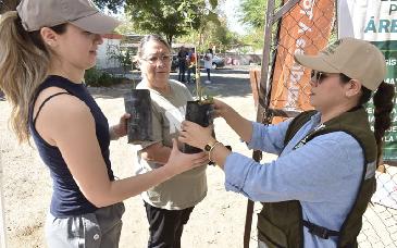 Invita Gobierno de Hermosillo a adoptar un árbol nativo este viernes 17 de abril
