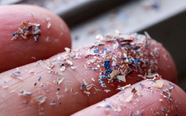 IPN detecta nano y microplásticos en sangre y orina de habitantes de Oaxaca