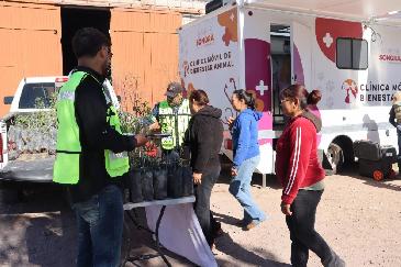 CEDES refuerza bienestar animal y reforestación con jornada de servicios en Bavispe