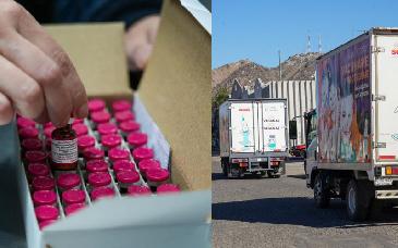 Recibe Sonora 180 mil dosis de vacunas contra el sarampión para reforzar esquemas en todo el estado