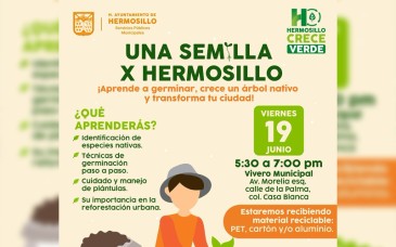 Invitan a taller gratuito para aprender a germinar árboles nativos