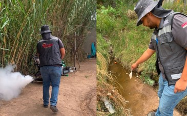 Salud Sonora llama a eliminar criaderos de mosquitos tras recientes lluvias