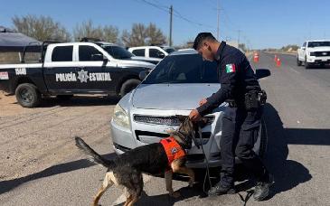 Percepción de seguridad mejora en Hermosillo, Cajeme y Nogales, según encuesta del INEGI