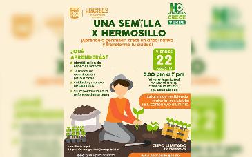Invita Gobierno Municipal a Taller “Una Semilla x Hermosillo” para aprender a germinar y reforestar la ciudad