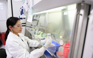 Prueban edición genética directamente en el cuerpo para tratar una enfermedad rara del hígado