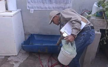 Llaman a prevenir rickettsia con limpieza en hogares