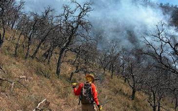 CEPC destaca labor de 104 combatientes forestales en incendio de Arivechi