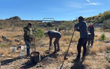 Avanza la restauración de La Sauceda: finalizan trabajos de reforestación en el Polígono Sureste