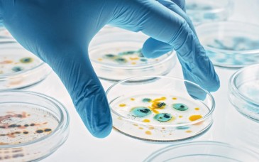 Descubren antibiótico con un mecanismo inédito para combatir bacterias resistentes