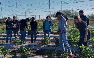 Estudiantes de la UTE aplican conocimientos agrícolas en prácticas profesionales en Etchojoa