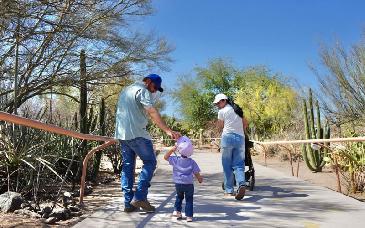 Centro Ecológico de Sonora se fortalece con nuevas especies, rehabilitación y mayor afluencia de visitantes