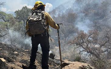 Control total del incendio en la Sierra Los Ajos gracias a coordinación entre gobiernos