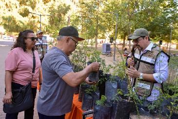 Promueve Municipio forestación de Hermosillo al donar mil árboles nativos por el Día del Árbol y Arbolado Urbano