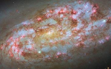 Telescopio Hubble publica imagen de galaxia espiral tormentosa ubicada a 50 millones de años luz