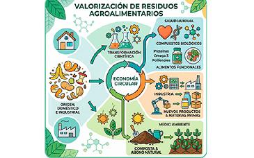 Analizan residuos agroalimentarios como recurso con valor para la salud y el ambiente