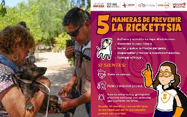 Secretaría de Salud alerta sobre riesgos mortales de la rickettsiosis en Sonora