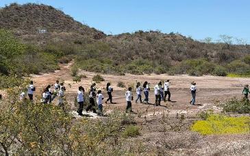 Estudiantes de Conalep Guaymas participan en reforestación de manglares en el Estero del Soldado