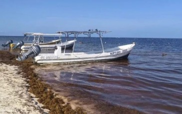 Gobierno federal destinará 2 mil millones de pesos para reforzar combate al sargazo en Quintana Roo