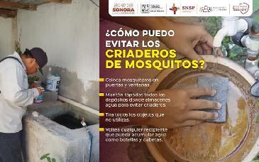 Secretaría de Salud de Sonora llama a reforzar la limpieza en hogares para prevenir el dengue en fiestas decembrinas